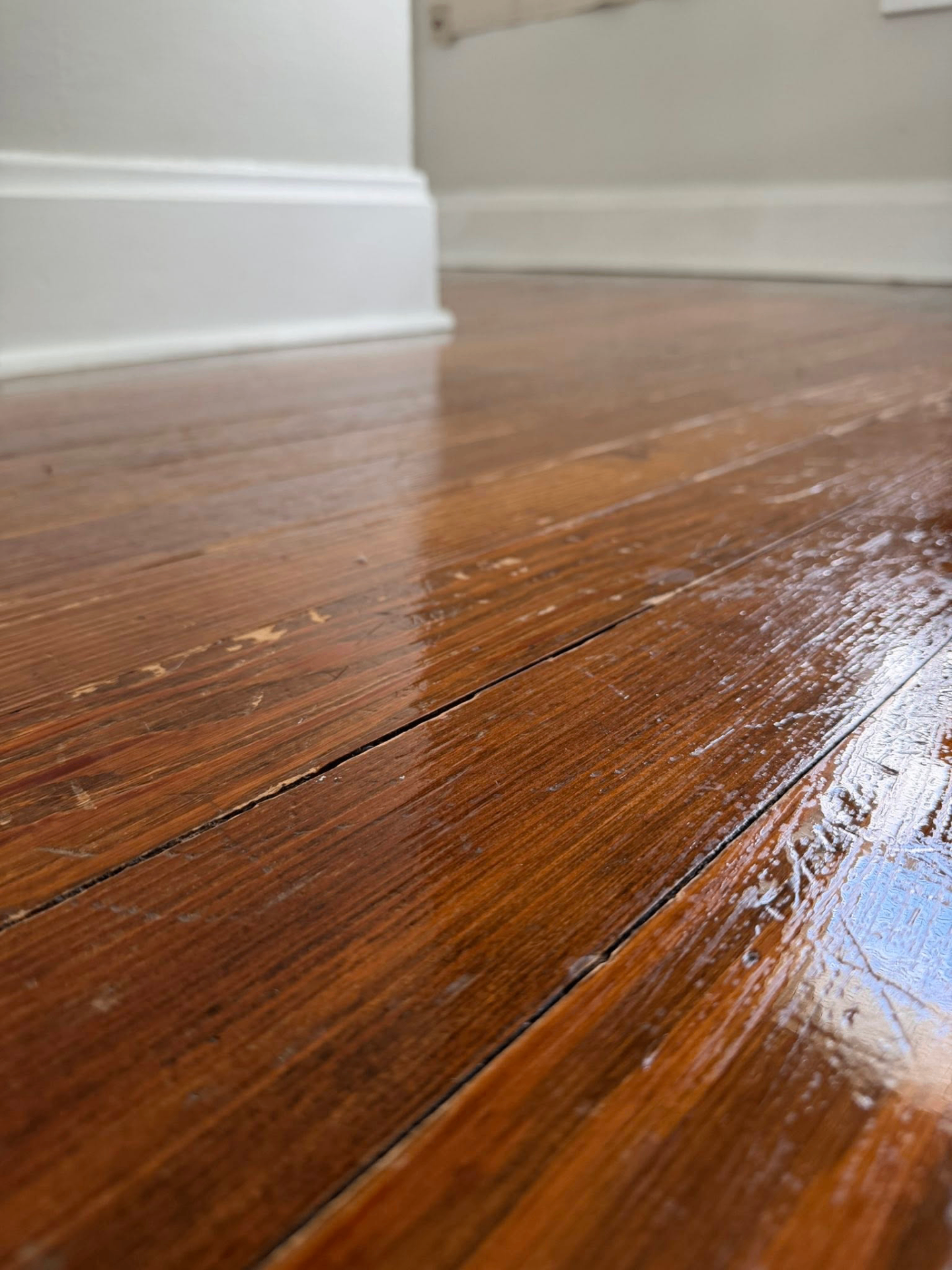 Floor Cleaning & Care